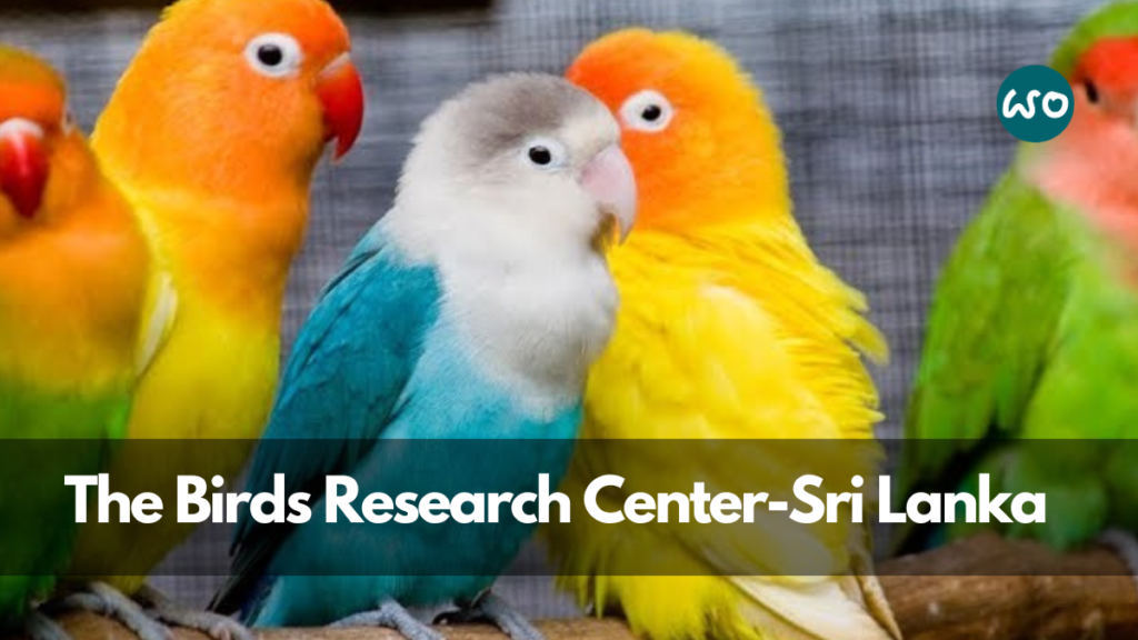 Bird research center