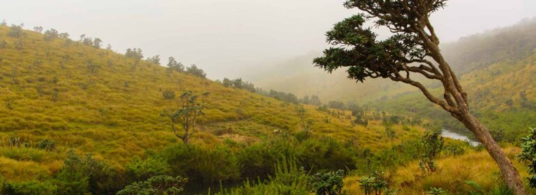 Horton Plains National Park Horton Plains National Park