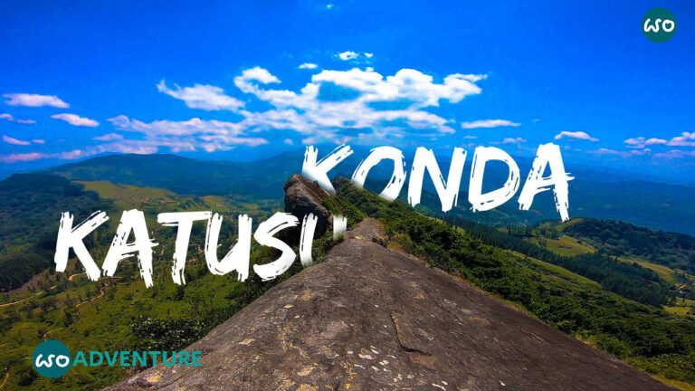 Katusu konda