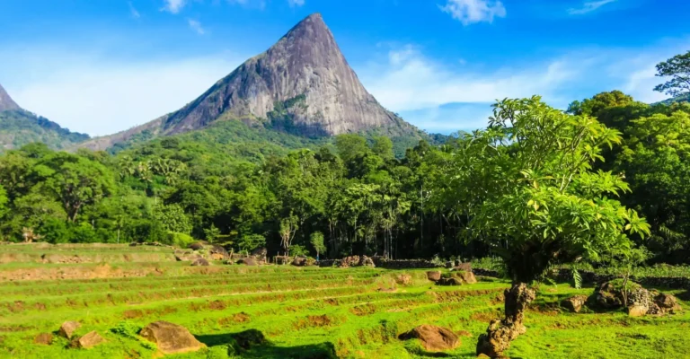 Meemure: Unveiling the Hidden Paradise of Sri Lanka-මීමුරේ Meemure