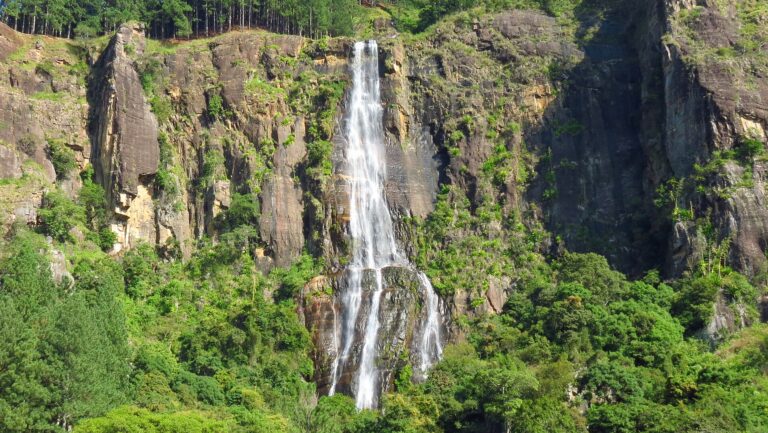 Devil’s Staircase Sri Lanka: Full Hiking Guide (2026)