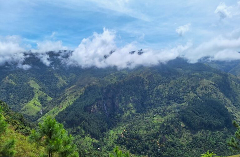 Wangedigala: Sri Lanka’s Best Camping Hike (Local Guide)