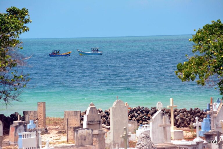Beaches in Sri Lanka – Delft Island delft