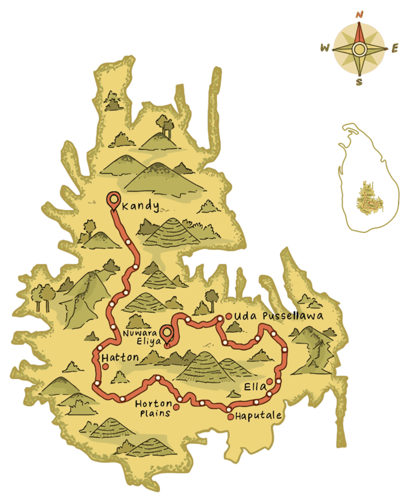 Pekoe Trail