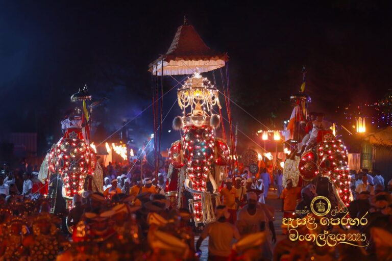 Kandy Esala Perahera: The Complete Guide (and How to Get Tickets)
